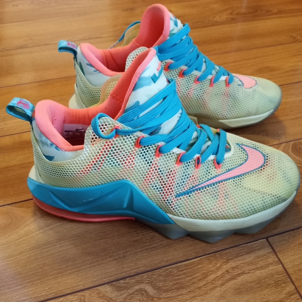 Men's Nike Lebron Athletic Shoes Size US10